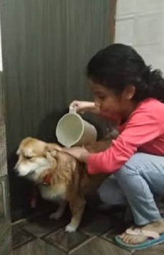 Inayat Verma with her pet dog