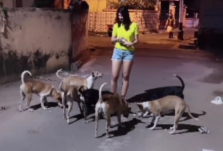 Indrakshi Dey providing food to the street dogs