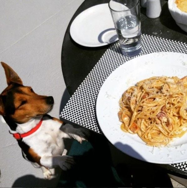 James Milliron with his pet dog