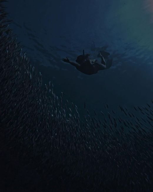 Jas Dudley-Scales scuba diving