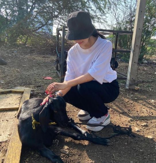 Jiya Amin playing with a goat