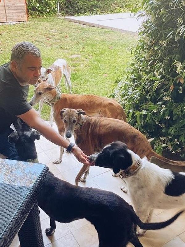 Jorge Javier Vázquez with his dogs