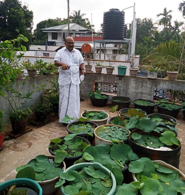 K. V. Thomas planting flowers in his garden