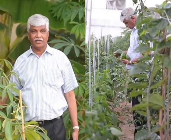 KG Abraham at his farming venture in Wafra