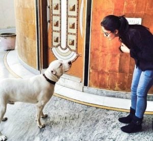 Kanupriya- Dog Lover