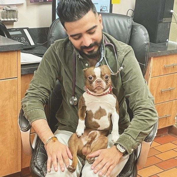 Kanwar Chahal while checking up on a dog