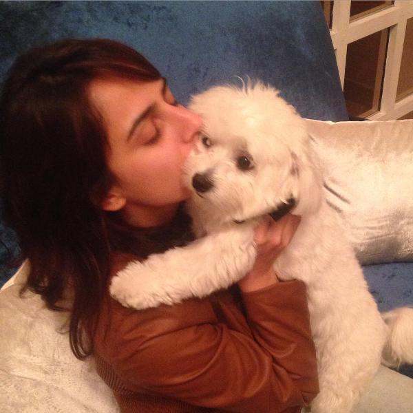 Kashmira Irani loves dogs