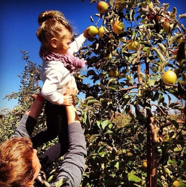 Kate Bolduan grew up in an apple orchard