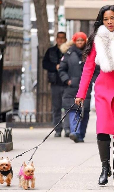 Kenya Moore with her Yorkshire Terriers