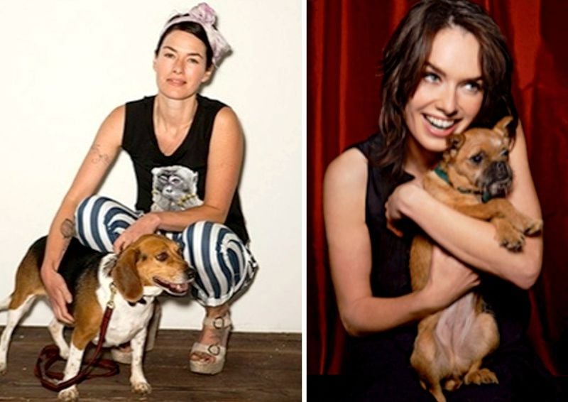 Lena Headey with her pet dogs, Wizard (left) and Angela Lansbury (right)