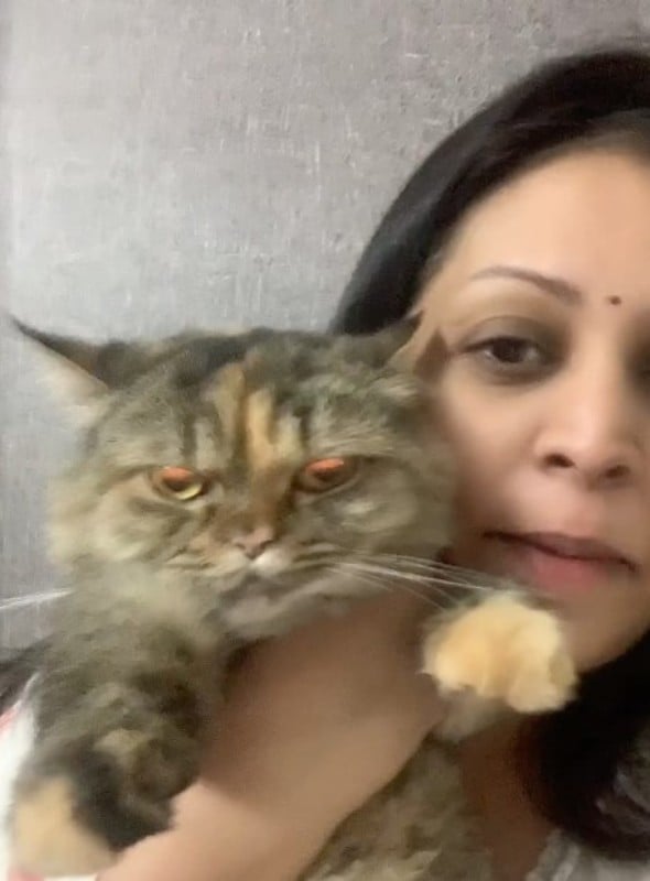 Madhoo Nekkanti with her cat