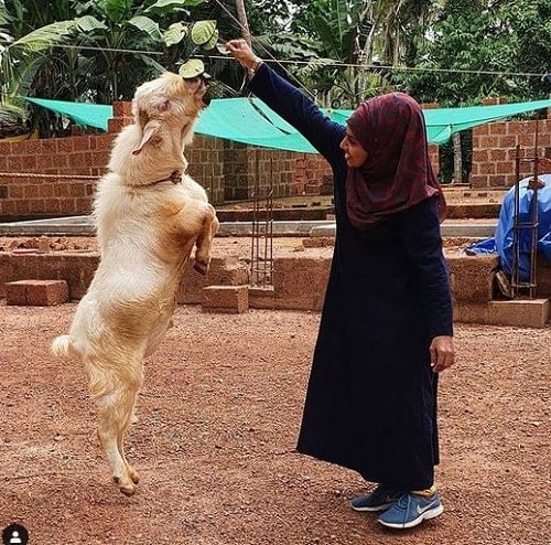 Majiziya Bhanu with her pet dog