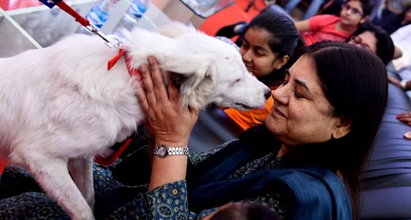 Maneka Gandhi Working For People For Animals