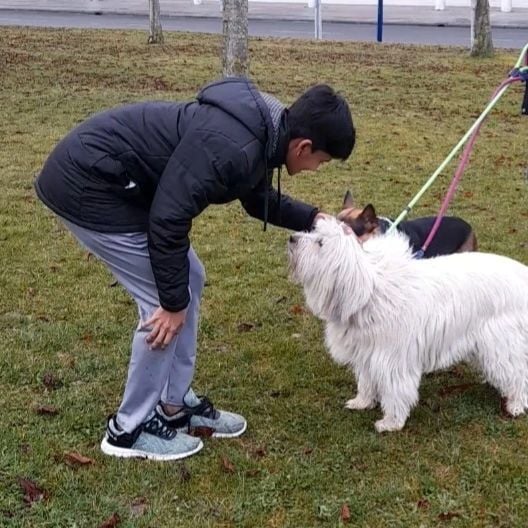 Manisha Ramadass with a South Russian Ovcharka