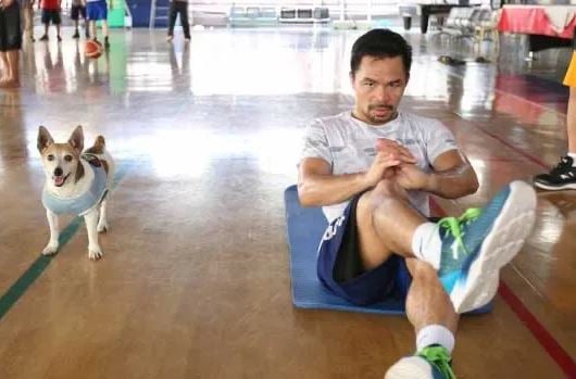 Manny Pacquiao during a gym session while his dog is present there with him