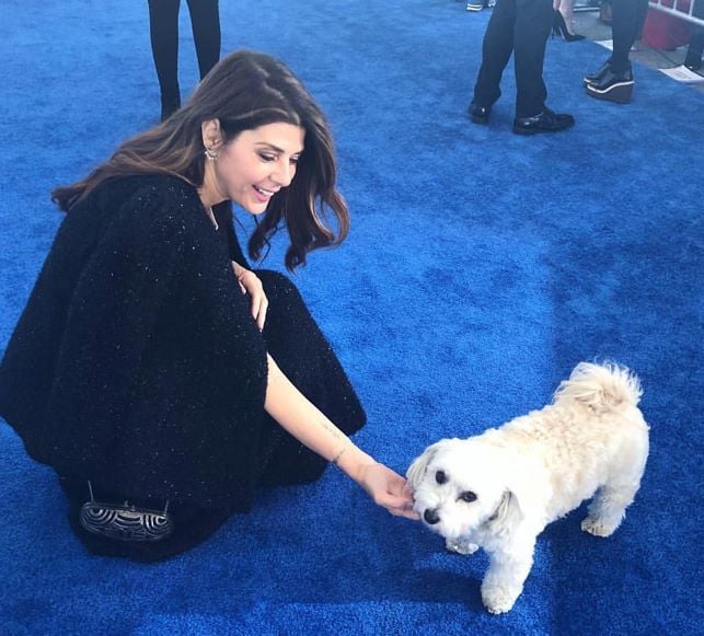 Marisa Tomei with a Maltese dog