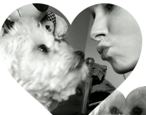 Maura Higgins with her pet dog