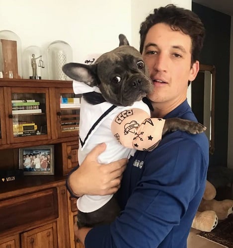 Miles Teller with his pet dog
