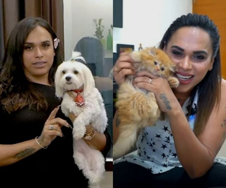 Milla Babygal with her pets