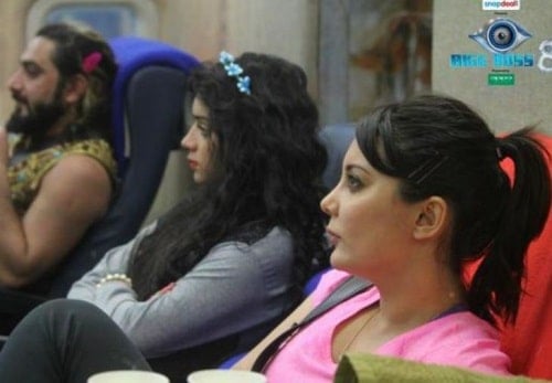 Minissha Lamba in Bigg Boss Season 8