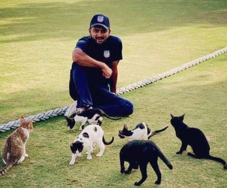 Monank Patel playing with cats