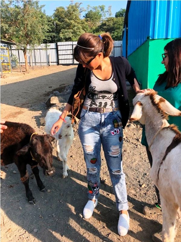 Monicka Vadera Poonawalla Working for the Animal Rights