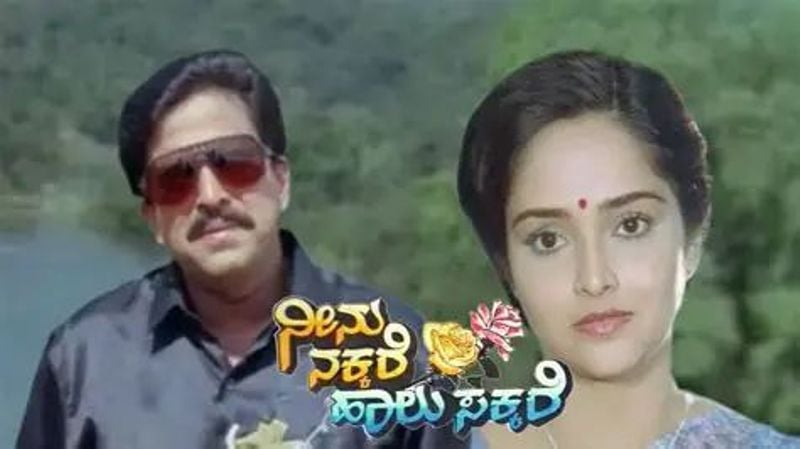 Neenu Nakkare Haalu Sakkare (1993) film poster