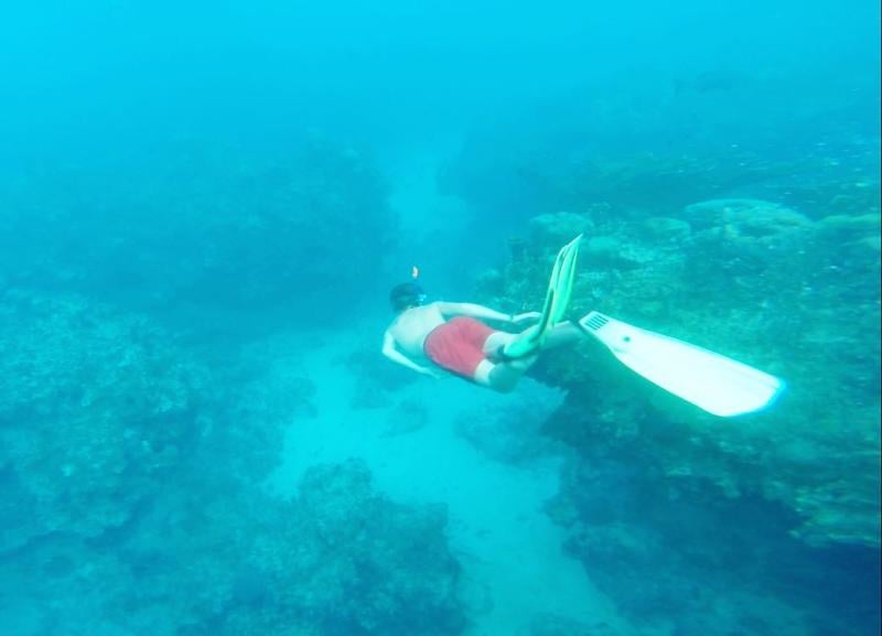 Oliver Daemen while scuba diving