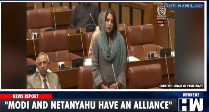 Palwasha Khan during her speech at Pakistan