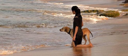 Pavani Gangireddy with a dog