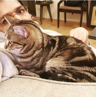 Pentala Harikrishna with his pet cat