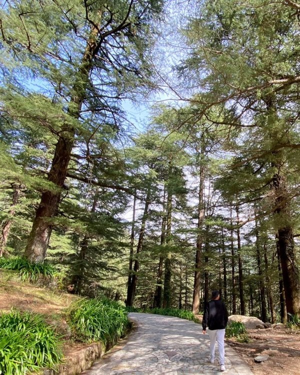 Photo of Danish Malewar while enjoying his vacation in Himachal Pradesh