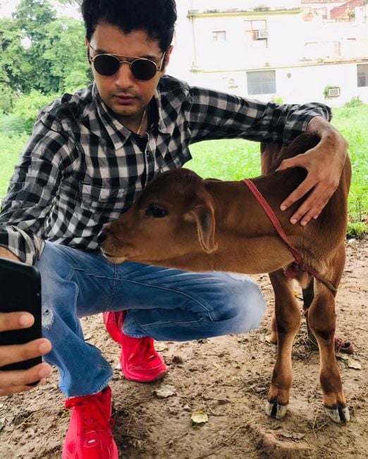 Pranav Sachdev with a calf