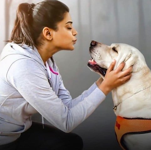 Priyamani loves dogs