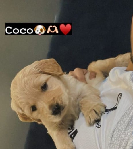 Purav Jha posing with his pet dog