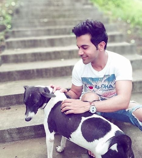 Rajkummar Rao, A Dog Lover