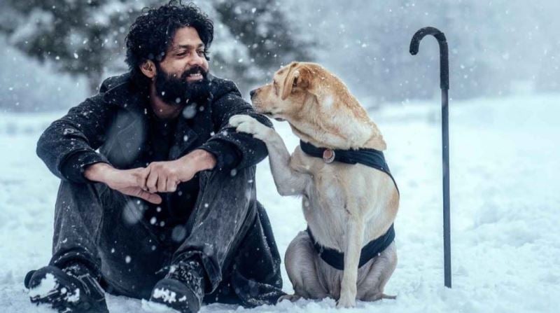 Rakshit Shetty as Dharmaraj Dattana or Dharma in 777 Charlie (2022)