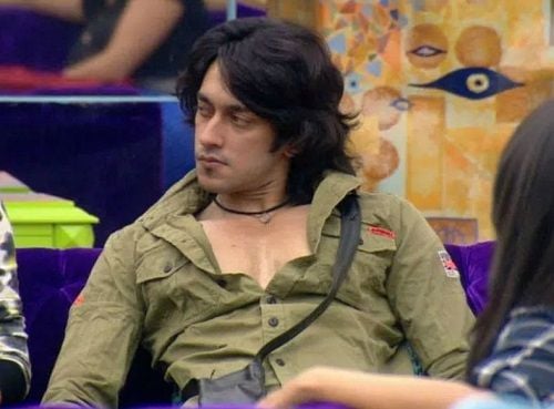 Rishabh Sinha in Bigg Boss 9 house