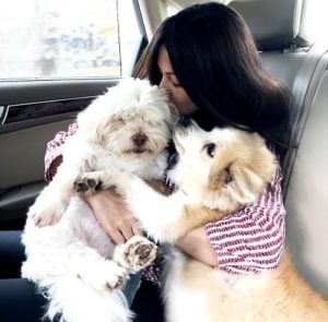 Riya Sen loves dogs
