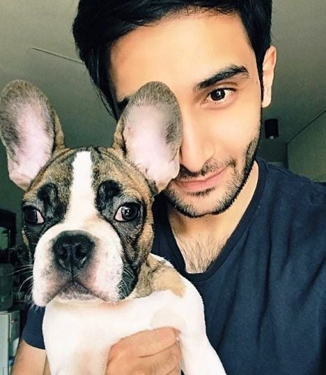 Rohan Vinod Mehra, A Dog Lover