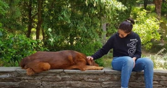Rucha Inamdar spending time with a dog