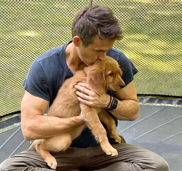 Ryan Reynolds with his pet dog