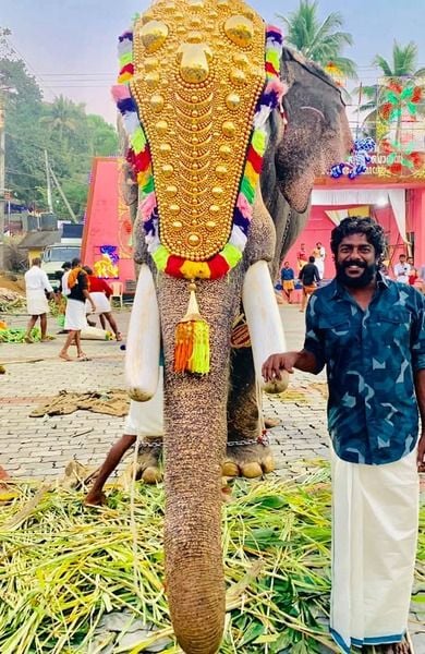 S P Sreekumar with an elephant