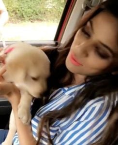 Saanvi Dhiman- Animal Lover