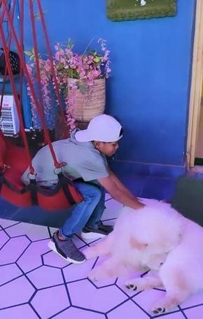 Sahdev Dirdo with a dog