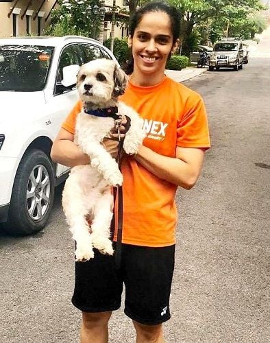 Saina Nehwal loves dogs