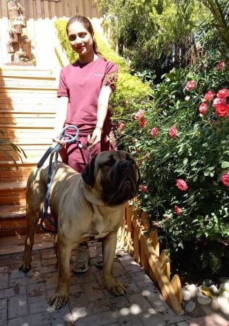 Sajal Malik with a dog