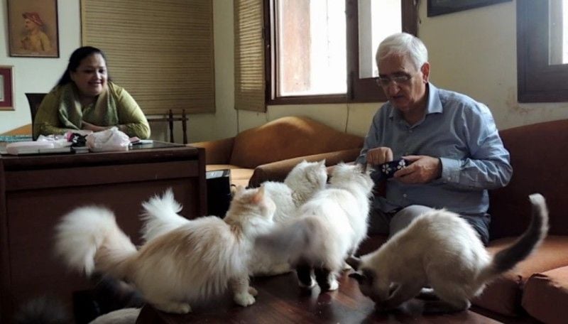Salman Khurshid and his wife playing with their pets