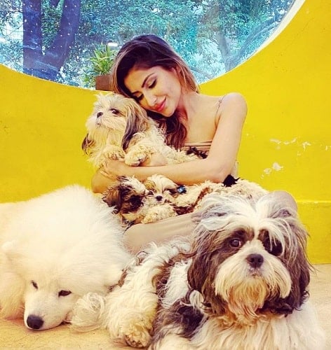 Sana Sultan Khan with her pet dogs