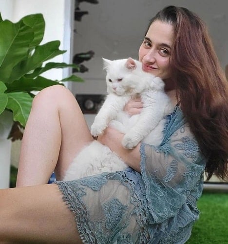 Sanjeeda Sheikh with her pet cat